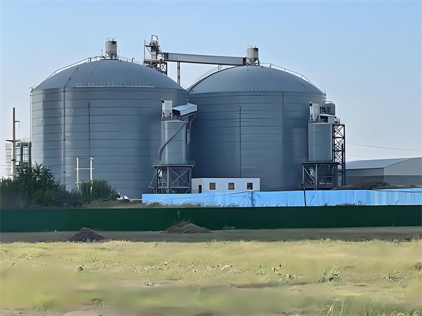 周口钢板仓建造施工方案详解